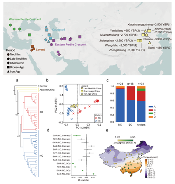 【科研新进展】（70）动科学院利用古基因组揭示中国山羊演化历程 .png