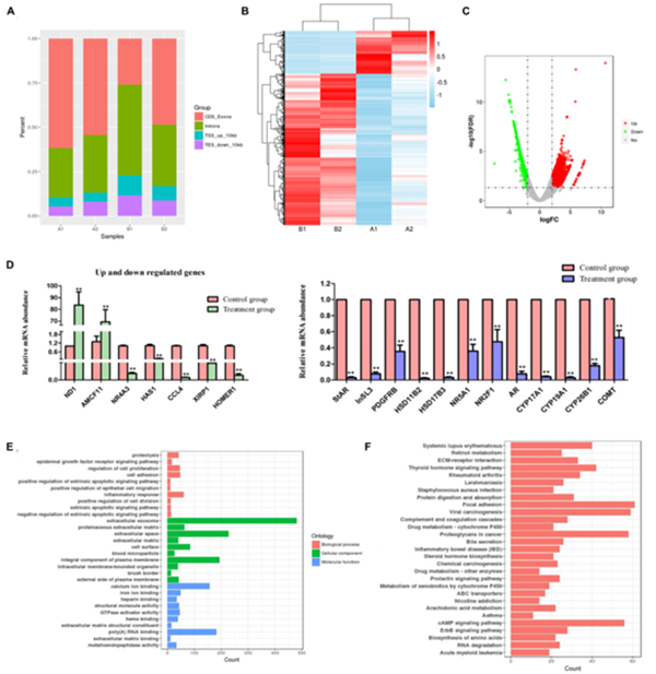 9844b3e7e721433e8018a0c0a69ea39e.png 图片2_副本.png