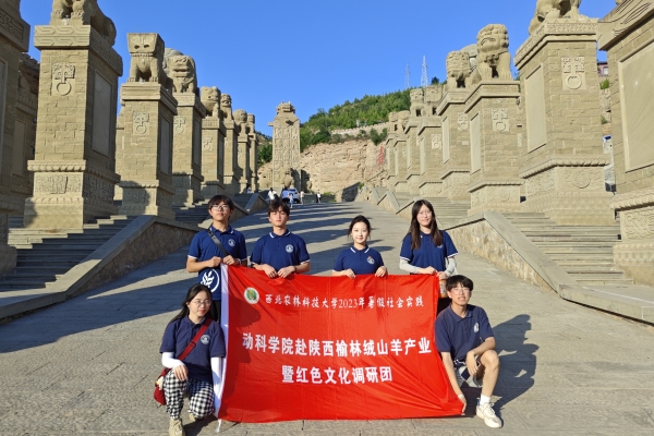 图片十 调研团成员合影.jpg