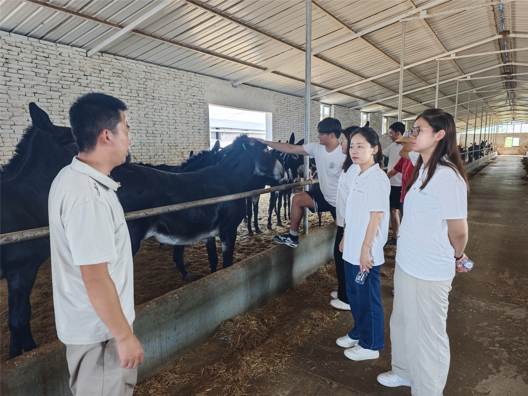 图片二 调研队参观佳米驴养殖区.jpg